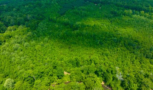 Photo #33 of SOLD property in Off Woodsdale Road & Hideaway Trail, Roxboro, NC 88.1 acres