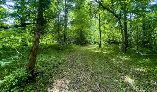 Photo #35 of SOLD property in Off Woodsdale Road & Hideaway Trail, Roxboro, NC 88.1 acres