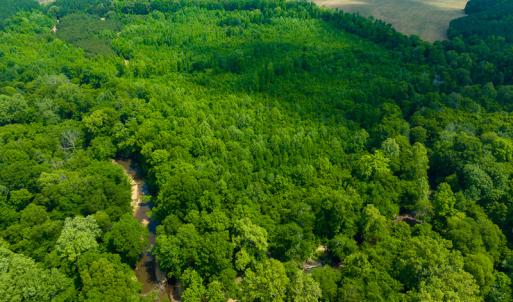 Photo #36 of SOLD property in Off Woodsdale Road & Hideaway Trail, Roxboro, NC 88.1 acres