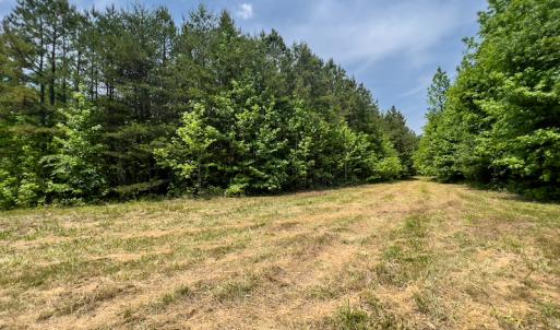 Photo #40 of SOLD property in Off Woodsdale Road & Hideaway Trail, Roxboro, NC 88.1 acres