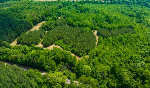 Photo #43 of SOLD property in Off Woodsdale Road & Hideaway Trail, Roxboro, NC 88.1 acres