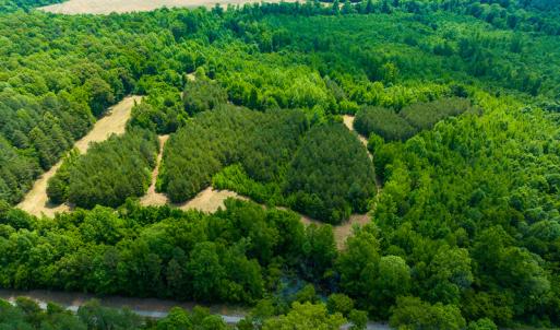 Photo #46 of SOLD property in Off Woodsdale Road & Hideaway Trail, Roxboro, NC 88.1 acres
