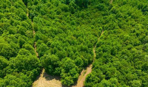 Photo #48 of SOLD property in Off Woodsdale Road & Hideaway Trail, Roxboro, NC 88.1 acres