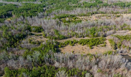 Photo #19 of SOLD property in Off Jeffries Road, Pelham, NC 49.0 acres