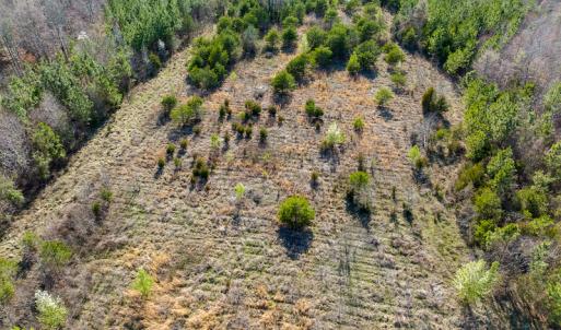Photo #20 of SOLD property in Off Jeffries Road, Pelham, NC 49.0 acres