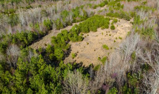 Photo #23 of SOLD property in Off Jeffries Road, Pelham, NC 49.0 acres