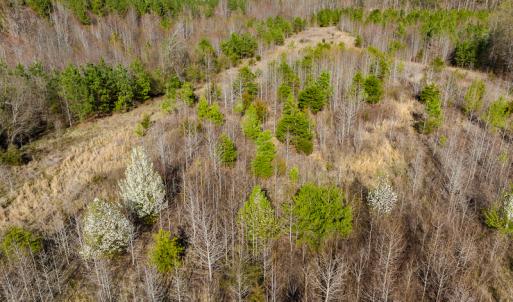 Photo #26 of SOLD property in Off Jeffries Road, Pelham, NC 49.0 acres