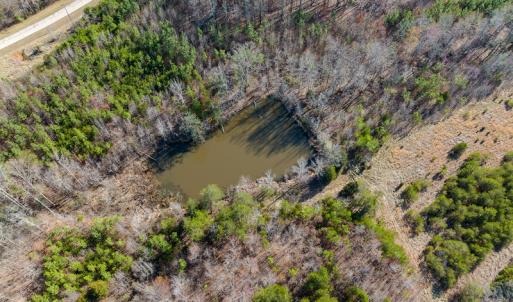 Photo #29 of SOLD property in Off Jeffries Road, Pelham, NC 49.0 acres