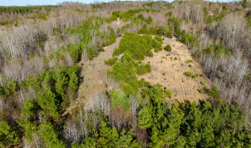 Photo #30 of SOLD property in Off Jeffries Road, Pelham, NC 49.0 acres