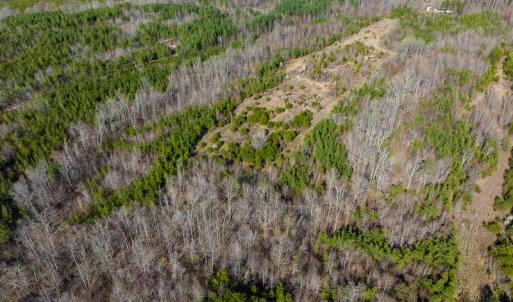 Photo #31 of SOLD property in Off Jeffries Road, Pelham, NC 49.0 acres