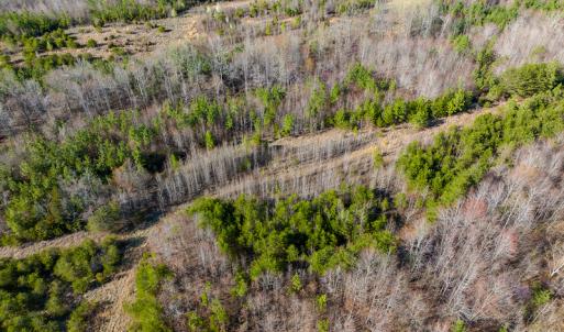 Photo #32 of SOLD property in Off Jeffries Road, Pelham, NC 49.0 acres