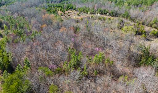 Photo #33 of SOLD property in Off Jeffries Road, Pelham, NC 49.0 acres