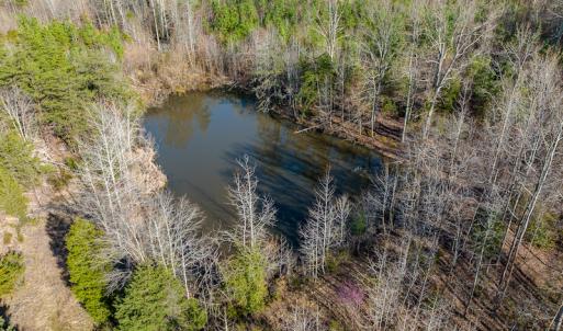 Photo #3 of SOLD property in Off Jeffries Road, Pelham, NC 49.0 acres
