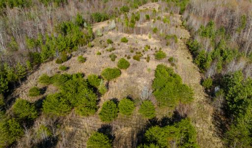 Photo #5 of SOLD property in Off Jeffries Road, Pelham, NC 49.0 acres
