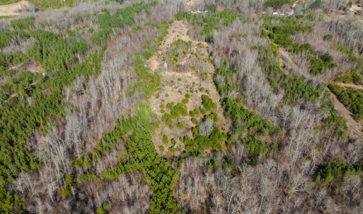 Photo #34 of SOLD property in Off Jeffries Road, Pelham, NC 49.0 acres