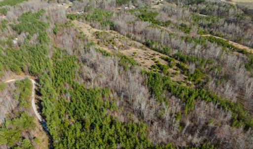 Photo #37 of SOLD property in Off Jeffries Road, Pelham, NC 49.0 acres