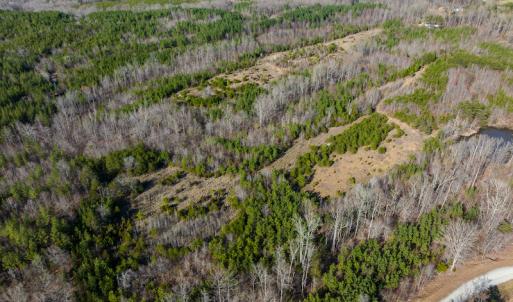 Photo #41 of SOLD property in Off Jeffries Road, Pelham, NC 49.0 acres