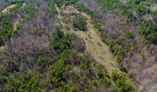 Photo #43 of SOLD property in Off Jeffries Road, Pelham, NC 49.0 acres