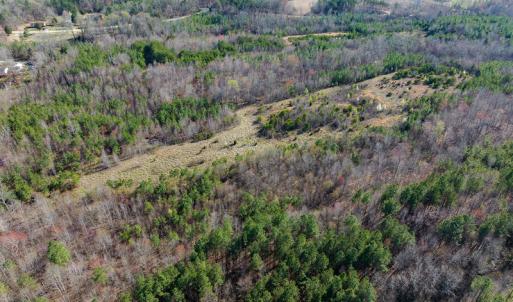 Photo #44 of SOLD property in Off Jeffries Road, Pelham, NC 49.0 acres