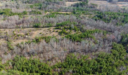 Photo #45 of SOLD property in Off Jeffries Road, Pelham, NC 49.0 acres