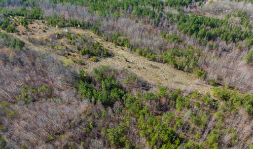 Photo #46 of SOLD property in Off Jeffries Road, Pelham, NC 49.0 acres