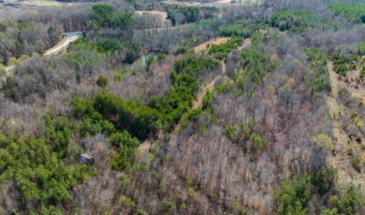 Photo #6 of SOLD property in Off Jeffries Road, Pelham, NC 49.0 acres