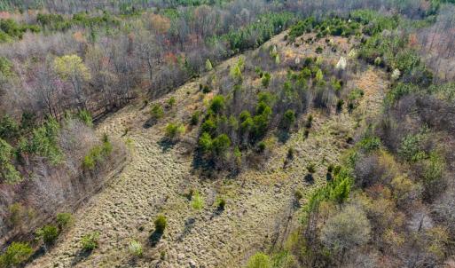 Photo #8 of SOLD property in Off Jeffries Road, Pelham, NC 49.0 acres