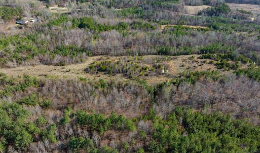 Photo #9 of SOLD property in Off Jeffries Road, Pelham, NC 49.0 acres
