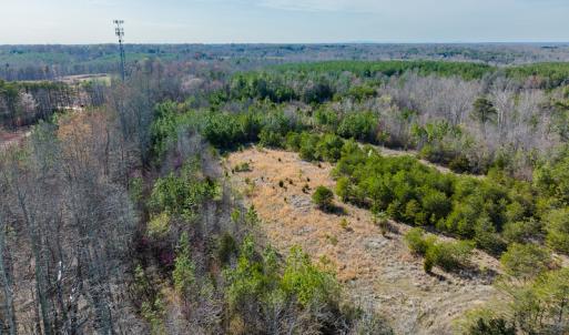 Photo #13 of SOLD property in Off Jeffries Road, Pelham, NC 49.0 acres