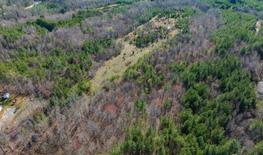 Photo #14 of SOLD property in Off Jeffries Road, Pelham, NC 49.0 acres