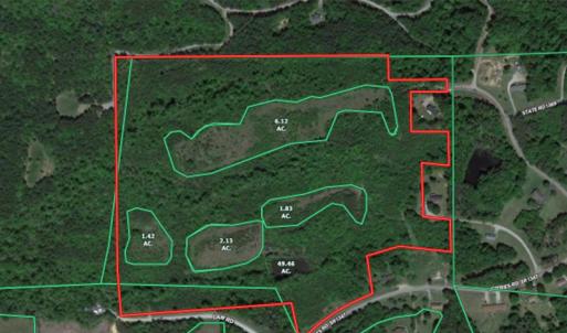 Photo #48 of SOLD property in Off Jeffries Road, Pelham, NC 49.0 acres