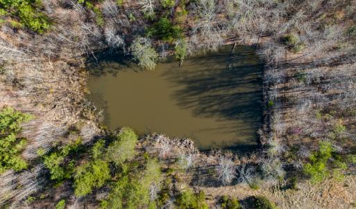Photo #16 of SOLD property in Off Jeffries Road, Pelham, NC 49.0 acres