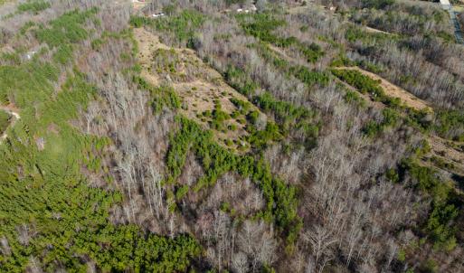 Photo #17 of SOLD property in Off Jeffries Road, Pelham, NC 49.0 acres