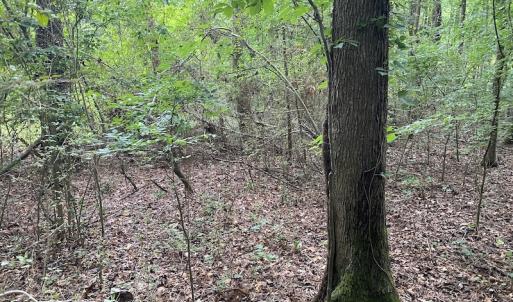 Photo #9 of SOLD property in 1910 Wade Stephenson Road, Holly Springs, NC 0.6 acres