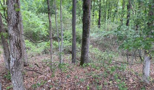 Photo #10 of SOLD property in 1910 Wade Stephenson Road, Holly Springs, NC 0.6 acres