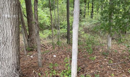 Photo #11 of SOLD property in 1910 Wade Stephenson Road, Holly Springs, NC 0.6 acres
