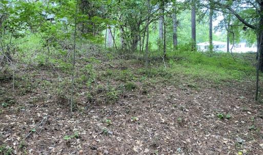 Photo #12 of SOLD property in 1910 Wade Stephenson Road, Holly Springs, NC 0.6 acres