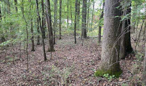 Photo #8 of SOLD property in 1910 Wade Stephenson Road, Holly Springs, NC 0.6 acres