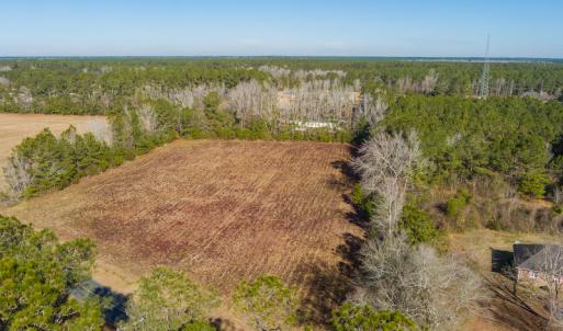 Photo #9 of SOLD property in Off Spearman Road, Bolton, NC 3.2 acres