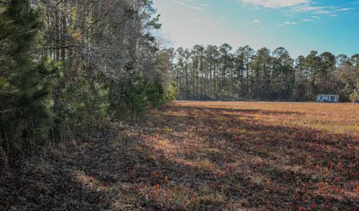 Photo #16 of SOLD property in Off Spearman Road, Bolton, NC 3.2 acres