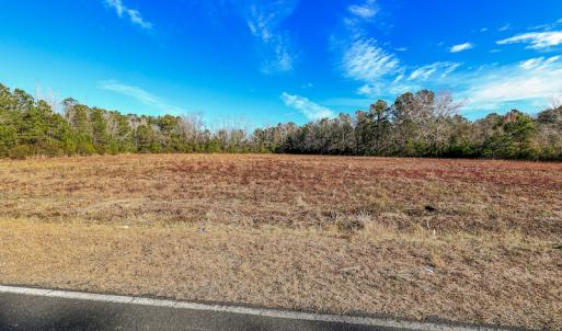 Photo #18 of SOLD property in Off Spearman Road, Bolton, NC 3.2 acres