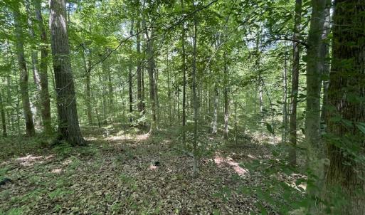 Photo #12 of Off Bell Road, Powhatan, VA 6.8 acres