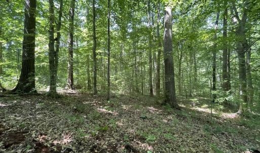 Photo #13 of Off Bell Road, Powhatan, VA 6.8 acres