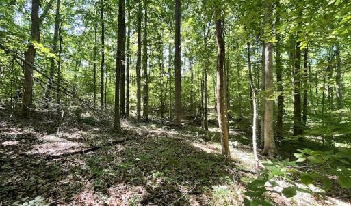 Photo #14 of Off Bell Road, Powhatan, VA 6.8 acres