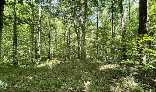 Photo #15 of Off Bell Road, Powhatan, VA 6.8 acres