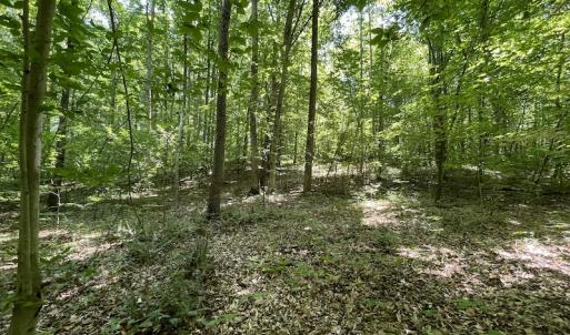 Photo #16 of Off Bell Road, Powhatan, VA 6.8 acres