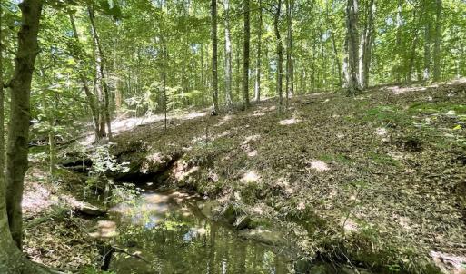 Photo #17 of Off Bell Road, Powhatan, VA 6.8 acres