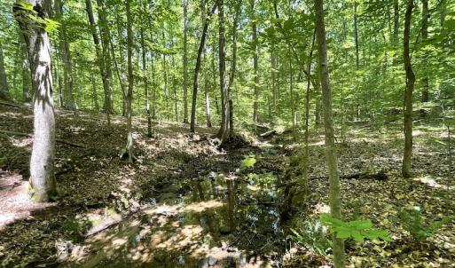 Photo #18 of Off Bell Road, Powhatan, VA 6.8 acres