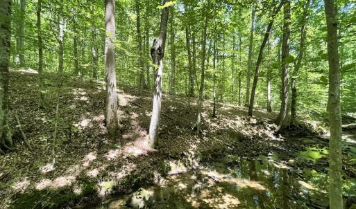 Photo #19 of Off Bell Road, Powhatan, VA 6.8 acres