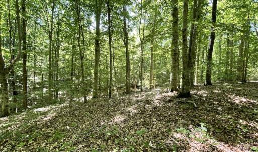 Photo #20 of Off Bell Road, Powhatan, VA 6.8 acres